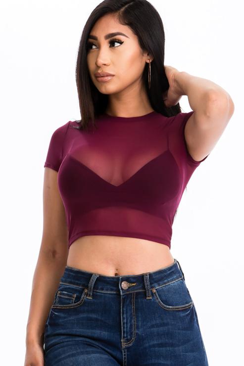 Sexy Mesh Sheer Short Sleeve Crop Top-6